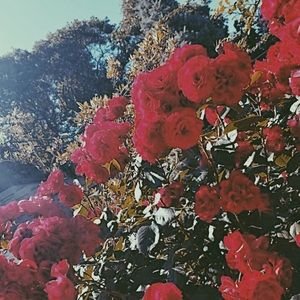 Meet your Posher, Tamara